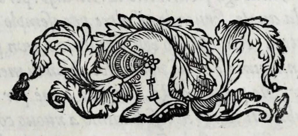 An illustration from Eseqvie d'Arrigo qvarto cristianissimo re di Francia, e di Navarra : celebrate in Firenze dal serenissimo don Cosimo II granduca di Toscana, 1610, leaf 29