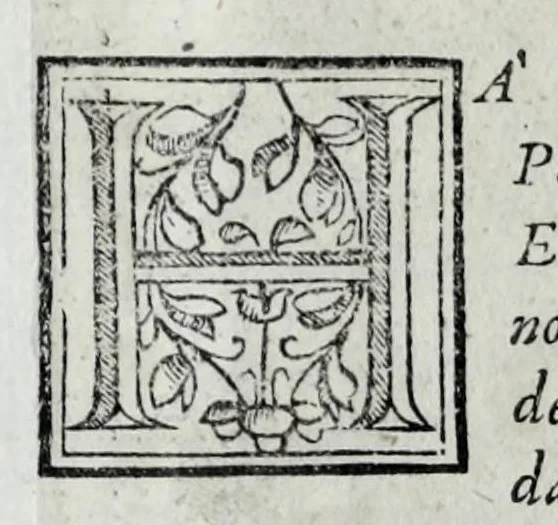 An illustration from Eseqvie fatte in Venetia dalla natione fiorentina al serenissimo d. Cosimo II qvarto gran dvca di Toscana il dì 25 di maggio j62j, 1621, leaf 11