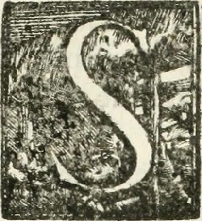 An illustration from Eseqvie reali alla Catt. Maestà del rè d. Filippo IV. celebrate in Milano alli 17. decembre 1665 per ordine dell'eccellentissimò signore il sig. d. Lvigi de Guzman Ponze de Leon ... in esecuzione del comandamento dell'avgvstissima reina Maria Anna nostra signora, 1665, leaf 12