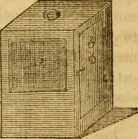 An illustration from Essays on the microscope : containing a practical description of the most improved microscopes : a general history of insects : illustrated with thirty-two folio plates (2nd ed. / with considerable additions and improvements by Frederick Kanmacher), 1798, leaf 700