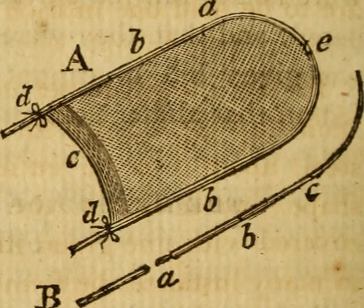 An illustration from Essays on the microscope : containing a practical description of the most improved microscopes : a general history of insects : illustrated with thirty-two folio plates (2nd ed. / with considerable additions and improvements by Frederick Kanmacher), 1798, leaf 703
