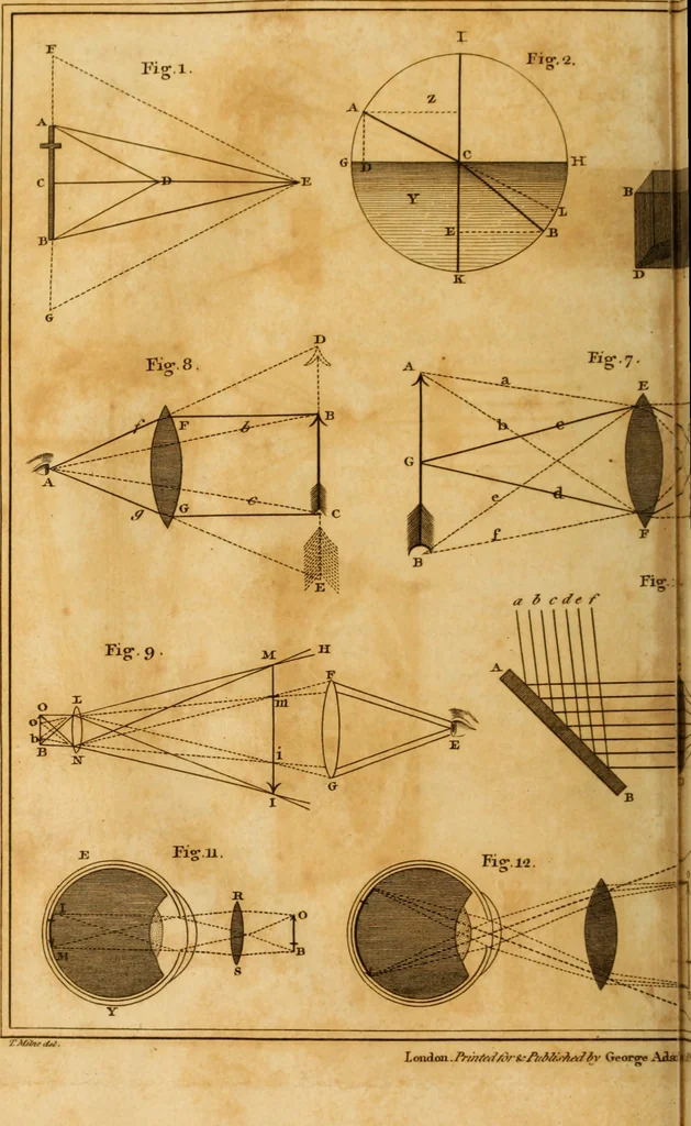 An illustration from Essays on the microscope : containing a practical description of the most improved microscopes : a general history of insects : illustrated with thirty-two folio plates (2nd ed. / with considerable additions and improvements by Frederick Kanmacher), 1798, leaf 755