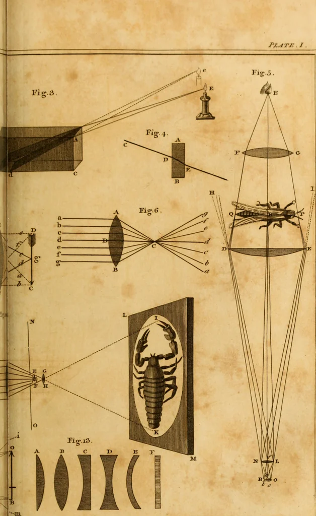 An illustration from Essays on the microscope : containing a practical description of the most improved microscopes : a general history of insects : illustrated with thirty-two folio plates (2nd ed. / with considerable additions and improvements by Frederick Kanmacher), 1798, leaf 756