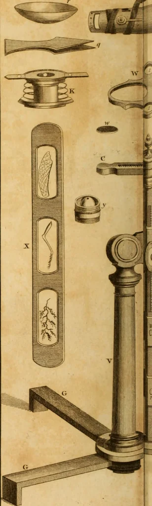 An illustration from Essays on the microscope : containing a practical description of the most improved microscopes : a general history of insects : illustrated with thirty-two folio plates (2nd ed. / with considerable additions and improvements by Frederick Kanmacher), 1798, leaf 767
