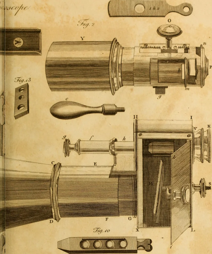 An illustration from Essays on the microscope : containing a practical description of the most improved microscopes : a general history of insects : illustrated with thirty-two folio plates (2nd ed. / with considerable additions and improvements by Frederick Kanmacher), 1798, leaf 772