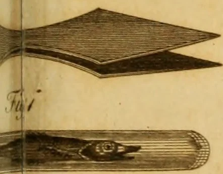 An illustration from Essays on the microscope : containing a practical description of the most improved microscopes : a general history of insects : illustrated with thirty-two folio plates (2nd ed. / with considerable additions and improvements by Frederick Kanmacher), 1798, leaf 772
