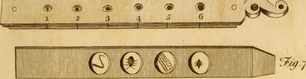 An illustration from Essays on the microscope : containing a practical description of the most improved microscopes : a general history of insects : illustrated with thirty-two folio plates (2nd ed. / with considerable additions and improvements by Frederick Kanmacher), 1798, leaf 772