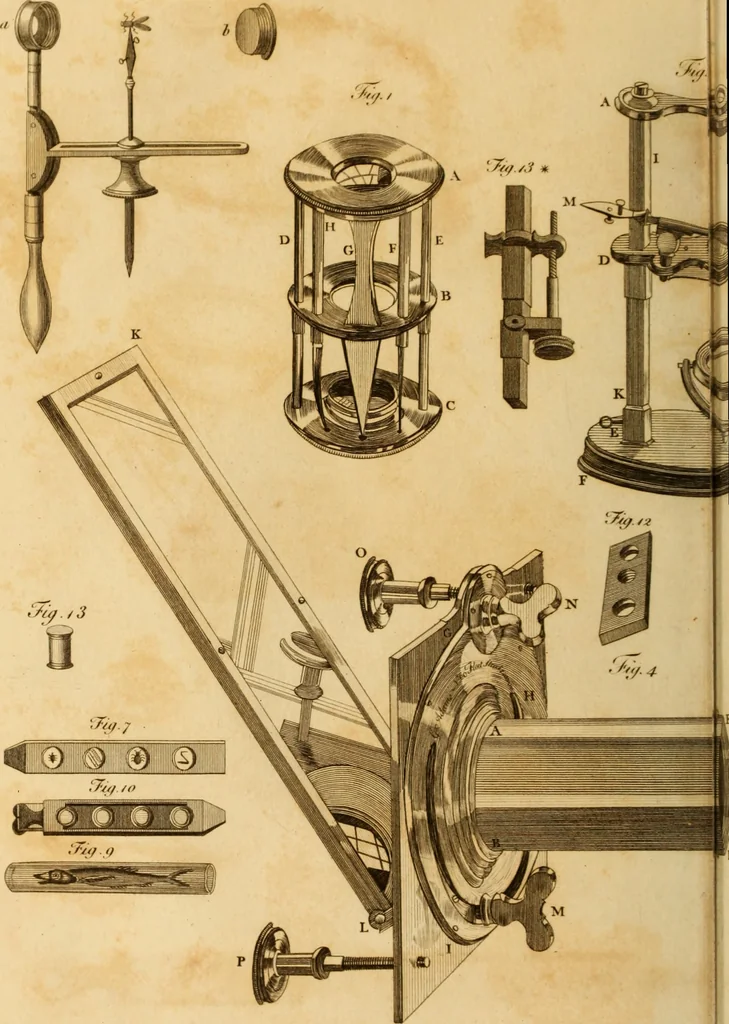 An illustration from Essays on the microscope : containing a practical description of the most improved microscopes : a general history of insects : illustrated with thirty-two folio plates (2nd ed. / with considerable additions and improvements by Frederick Kanmacher), 1798, leaf 775