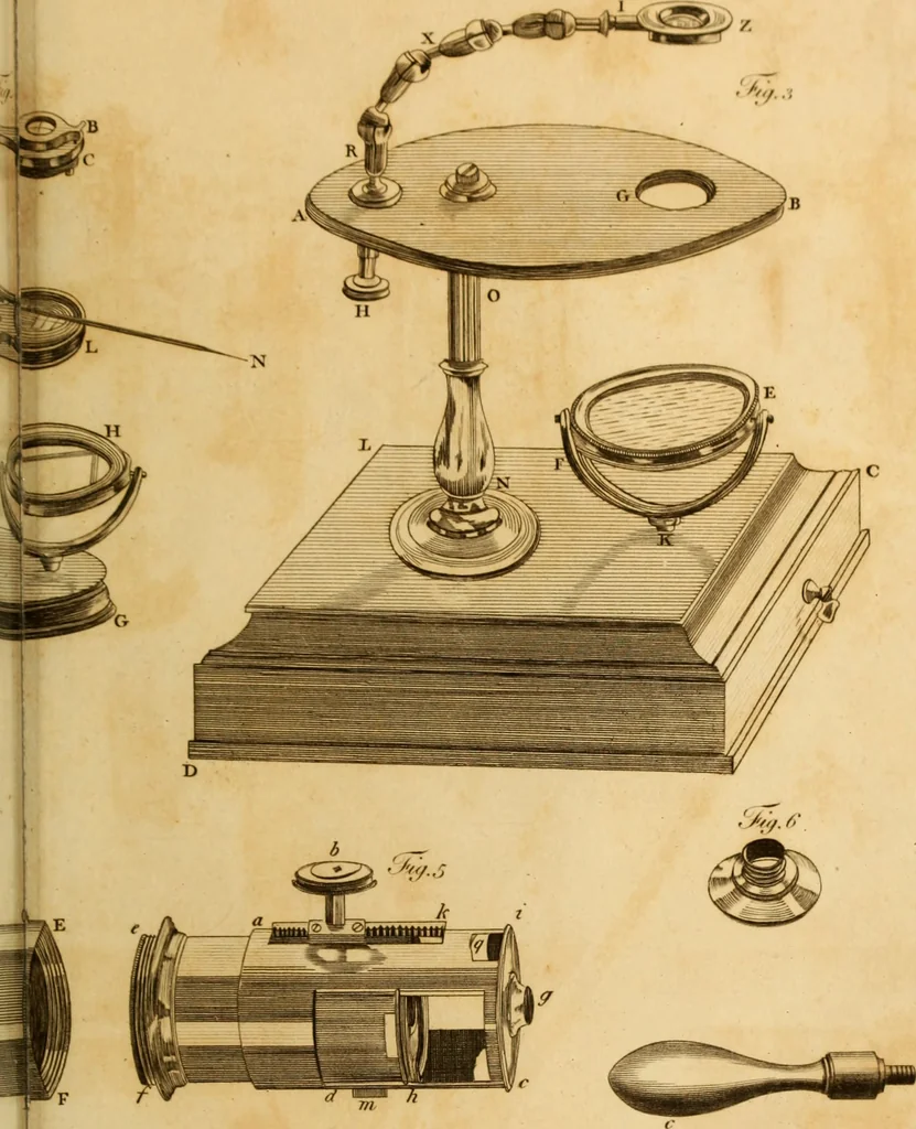 An illustration from Essays on the microscope : containing a practical description of the most improved microscopes : a general history of insects : illustrated with thirty-two folio plates (2nd ed. / with considerable additions and improvements by Frederick Kanmacher), 1798, leaf 776