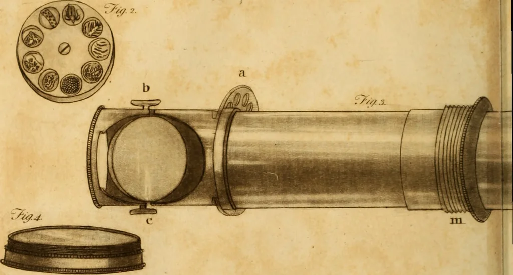 An illustration from Essays on the microscope : containing a practical description of the most improved microscopes : a general history of insects : illustrated with thirty-two folio plates (2nd ed. / with considerable additions and improvements by Frederick Kanmacher), 1798, leaf 783