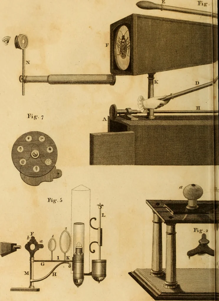 An illustration from Essays on the microscope : containing a practical description of the most improved microscopes : a general history of insects : illustrated with thirty-two folio plates (2nd ed. / with considerable additions and improvements by Frederick Kanmacher), 1798, leaf 787