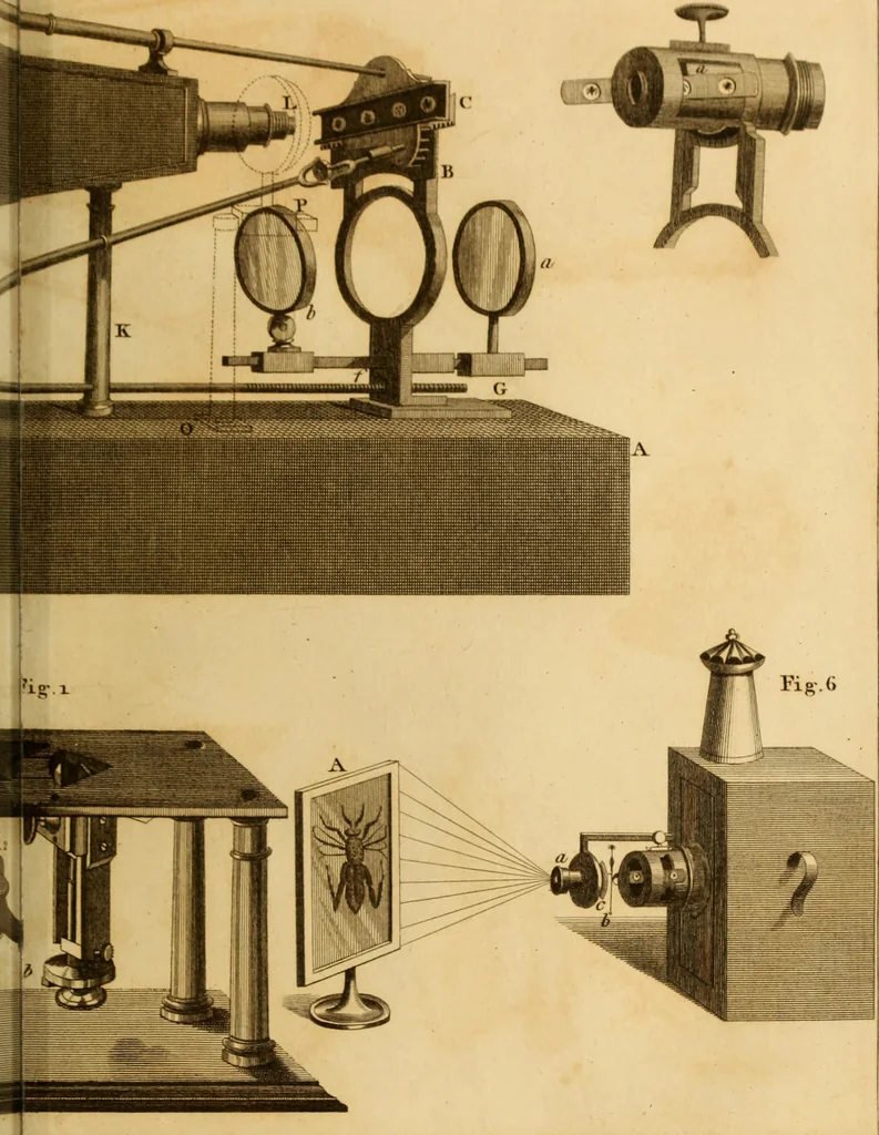 An illustration from Essays on the microscope : containing a practical description of the most improved microscopes : a general history of insects : illustrated with thirty-two folio plates (2nd ed. / with considerable additions and improvements by Frederick Kanmacher), 1798, leaf 788