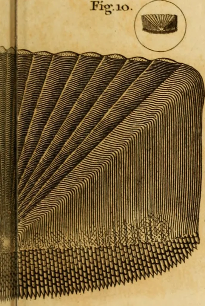 An illustration from Essays on the microscope : containing a practical description of the most improved microscopes : a general history of insects : illustrated with thirty-two folio plates (2nd ed. / with considerable additions and improvements by Frederick Kanmacher), 1798, leaf 828