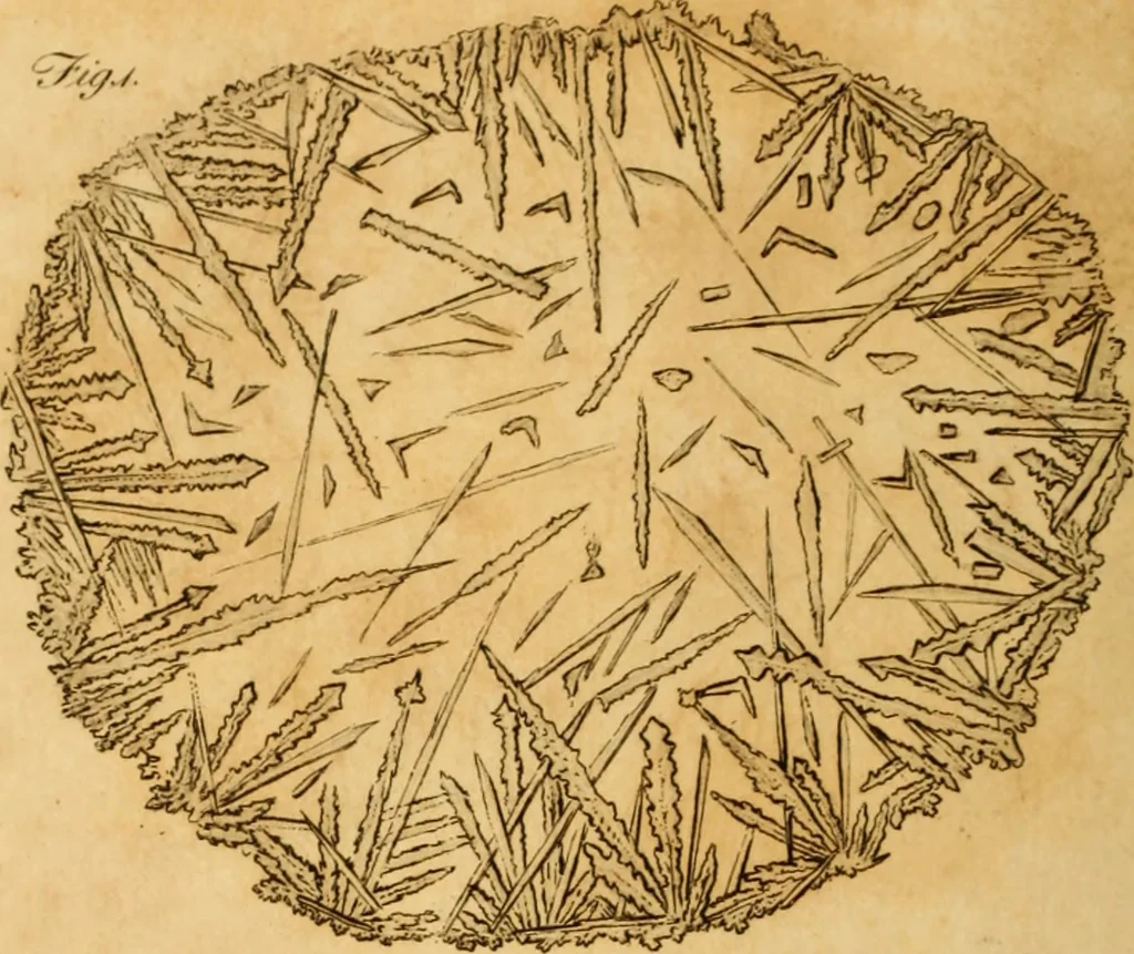 An illustration from Essays on the microscope : containing a practical description of the most improved microscopes : a general history of insects : illustrated with thirty-two folio plates (2nd ed. / with considerable additions and improvements by Frederick Kanmacher), 1798, leaf 879