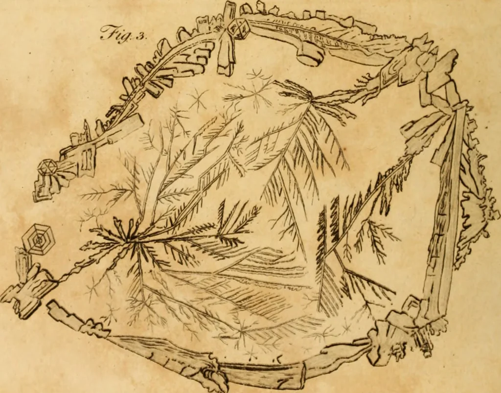 An illustration from Essays on the microscope : containing a practical description of the most improved microscopes : a general history of insects : illustrated with thirty-two folio plates (2nd ed. / with considerable additions and improvements by Frederick Kanmacher), 1798, leaf 879