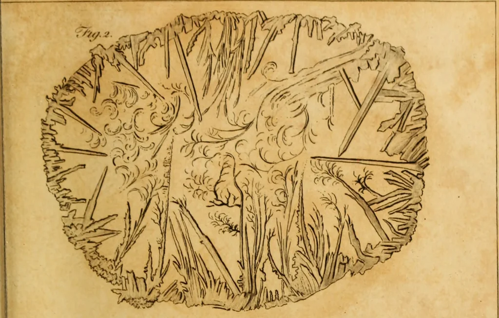 An illustration from Essays on the microscope : containing a practical description of the most improved microscopes : a general history of insects : illustrated with thirty-two folio plates (2nd ed. / with considerable additions and improvements by Frederick Kanmacher), 1798, leaf 880