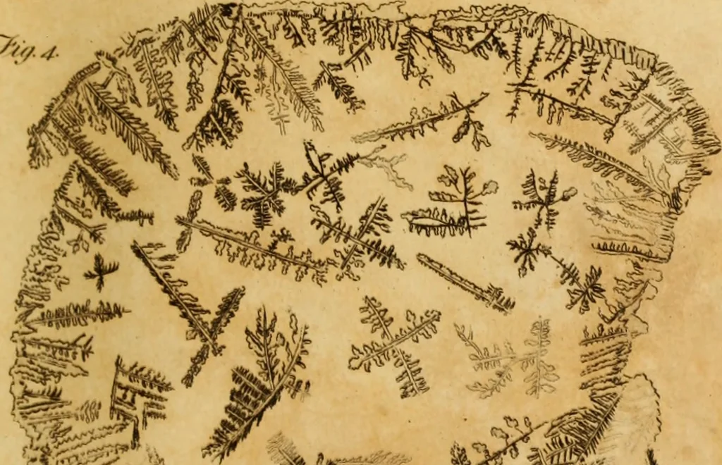 An illustration from Essays on the microscope : containing a practical description of the most improved microscopes : a general history of insects : illustrated with thirty-two folio plates (2nd ed. / with considerable additions and improvements by Frederick Kanmacher), 1798, leaf 880