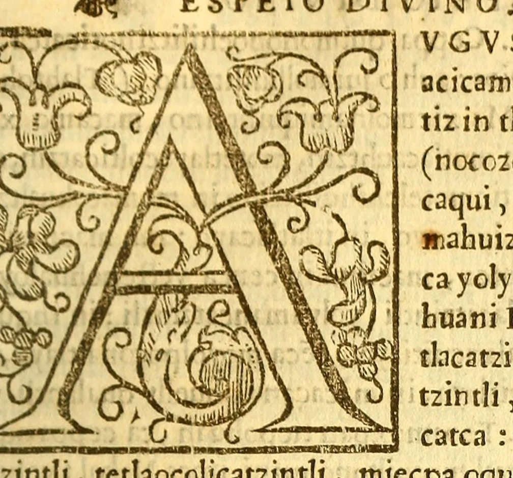 An illustration from Espeio divino en lengua mexicana, : en que pueden verse los padres, y tomar documento para acertar a doctrinar bien a sus hijos, y aficionallos alas virtudes., 1607, leaf 119