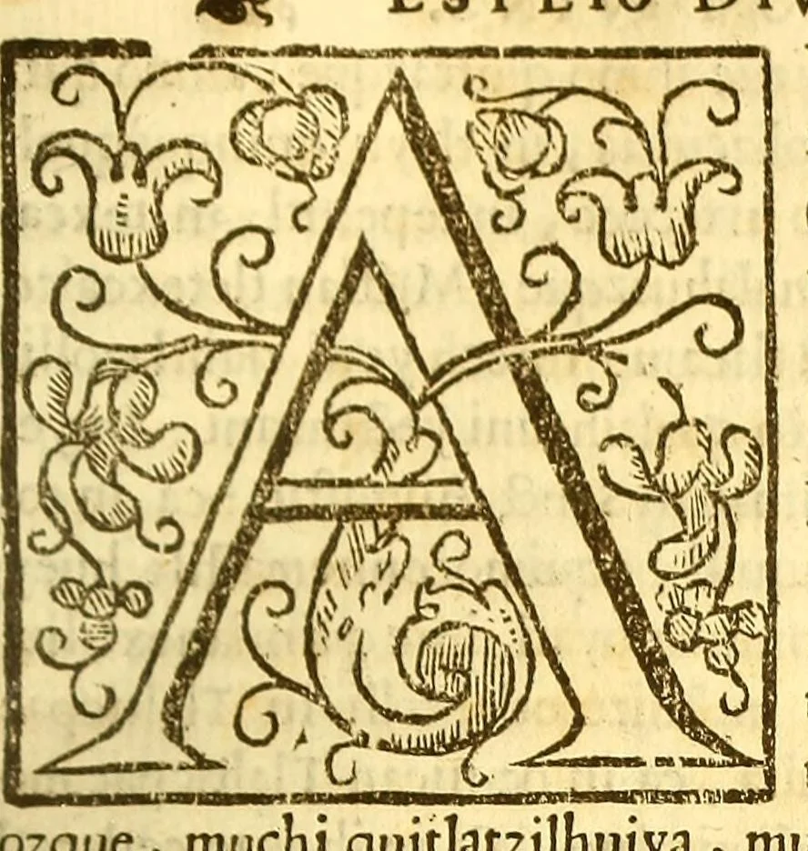 An illustration from Espeio divino en lengua mexicana, : en que pueden verse los padres, y tomar documento para acertar a doctrinar bien a sus hijos, y aficionallos alas virtudes., 1607, leaf 207