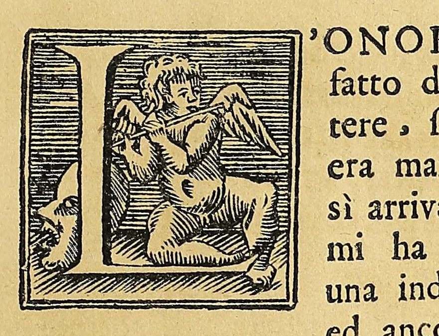 An illustration from Esperienze intorno a diverse cose natvrali : e particolarmente a qvelle, che ci son portate dall'Indie, 1671, leaf 11