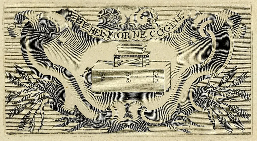 An illustration from Esperienze intorno alla generazione degl' insetti, 1668, leaf 7