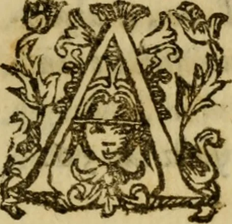 An illustration from Esperienzie intorno a diverse cose naturali, e particolarmente a quelle, che ci son portate dall'Indie, 1671, leaf 146