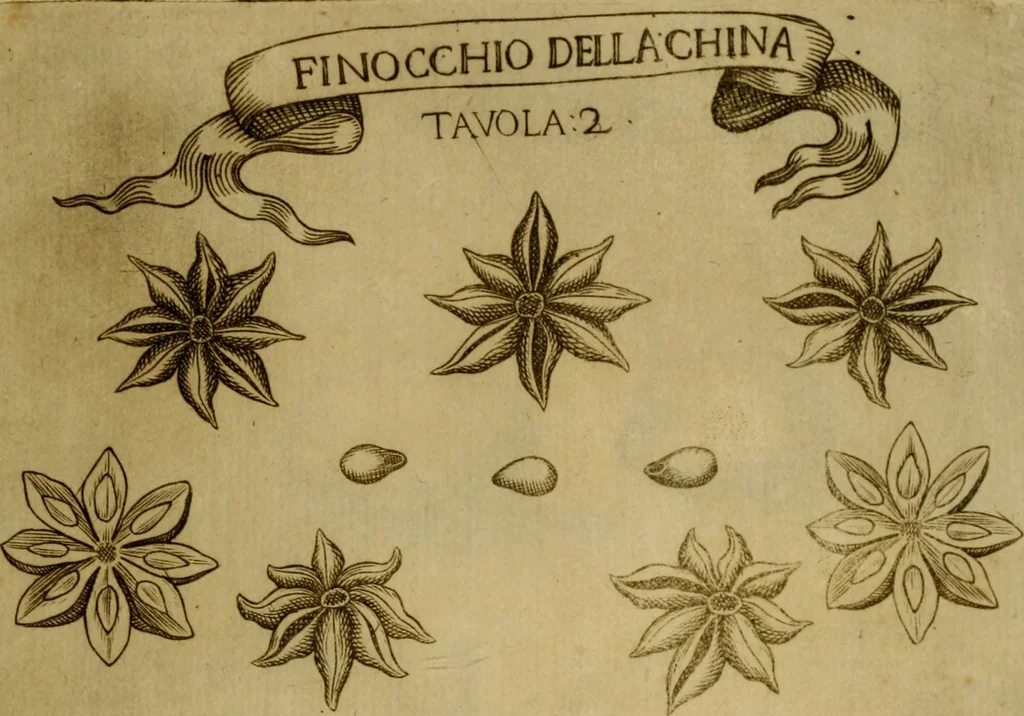 An illustration from Esperienzie intorno a diverse cose naturali, e particolarmente a quelle, che ci son portate dall'Indie, 1671, leaf 164