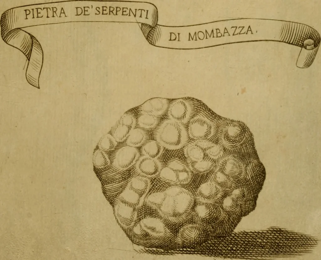An illustration from Esperienzie intorno a diverse cose naturali, e particolarmente a quelle, che ci son portate dall'Indie, 1671, leaf 164