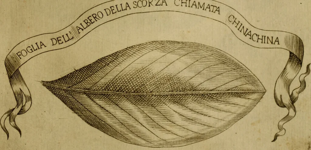 An illustration from Esperienzie intorno a diverse cose naturali, e particolarmente a quelle, che ci son portate dall'Indie, 1671, leaf 170