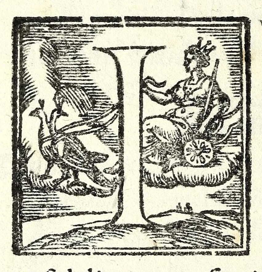 An illustration from Esplicatione del sacro lenzuolo, oue fu inuolto il Signore et delle piaghe in esso impresse col suo pretioso sangue : confrontate con la scrittura sacra, profeti e padri, con pie meditationi de' dolori della Beata Verg.ne, 1599, leaf 32