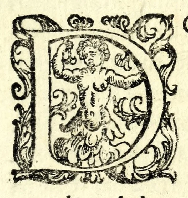 An illustration from Esplicatione del sacro lenzuolo, oue fu inuolto il Signore et delle piaghe in esso impresse col suo pretioso sangue : confrontate con la scrittura sacra, profeti e padri, con pie meditationi de' dolori della Beata Verg.ne, 1599, leaf 43
