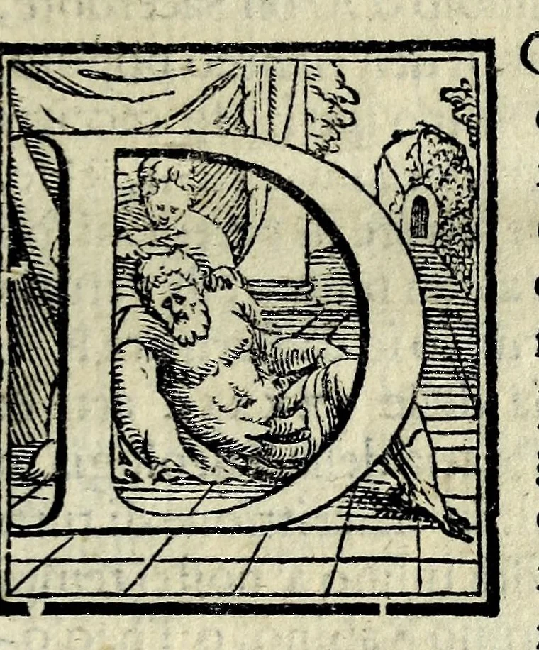 An illustration from Espositione dell'XI. et XII. cap. del IIII. lib. d'Esdra : sopra gli accidenti passati, presenti, & futuri della reuolutione del grande & tremendo imperio dell'aquila, quarta, & ultima monarchia nel mondo, 1571, leaf 13