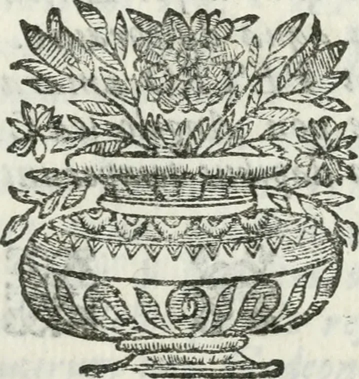 An illustration from Esposizione dell' apparato fatto nella solennita della canonizatione di Pietro d'Alcantara de Minori osservanti riformati di S. Francesco : e celebrato nella chiesa di S. Maria de gl' Angioli da R.R. P.P. del medesimo ordine nell' augusta citta di Torino, 1669, leaf 14
