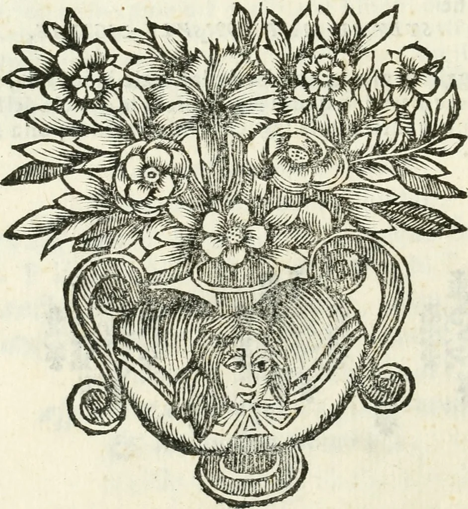 An illustration from Esposizione dell' apparato fatto nella solennita della canonizatione di Pietro d'Alcantara de Minori osservanti riformati di S. Francesco : e celebrato nella chiesa di S. Maria de gl' Angioli da R.R. P.P. del medesimo ordine nell' augusta citta di Torino, 1669, leaf 19