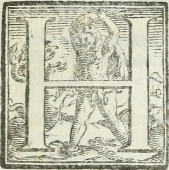 An illustration from Esposizione dell' apparato fatto nella solennita della canonizatione di Pietro d'Alcantara de Minori osservanti riformati di S. Francesco : e celebrato nella chiesa di S. Maria de gl' Angioli da R.R. P.P. del medesimo ordine nell' augusta citta di Torino, 1669, leaf 6