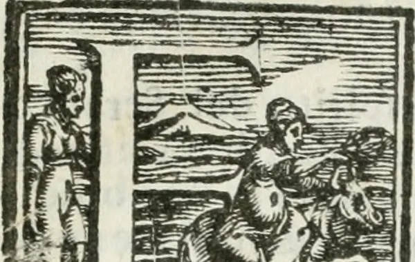 An illustration from Esposizione dell' apparato fatto nella solennita della canonizatione di Pietro d'Alcantara de Minori osservanti riformati di S. Francesco : e celebrato nella chiesa di S. Maria de gl' Angioli da R.R. P.P. del medesimo ordine nell' augusta citta di Torino, 1669, leaf 8