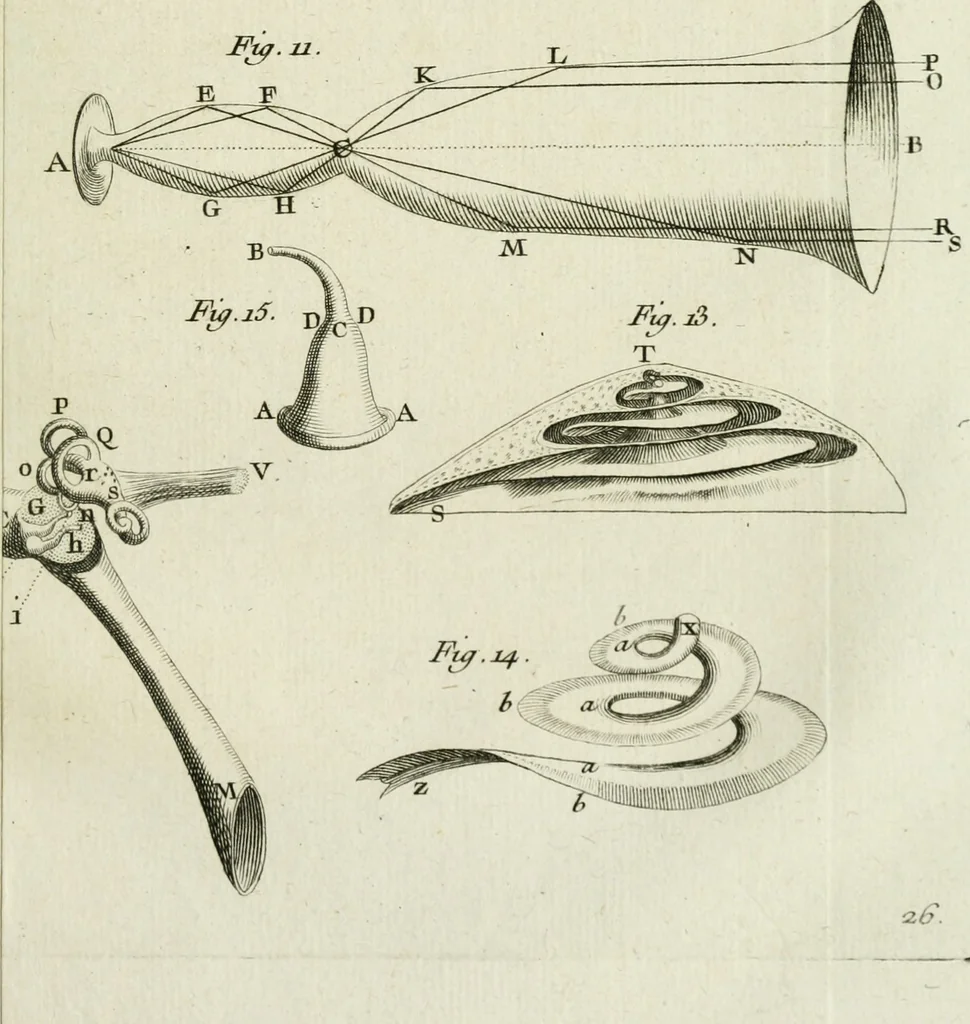 An illustration from Essai de physique, par Mr. Pierre van Musschenbroek ... avec une description de nouvelles sortes de machines pneumatiques, et un recueil d'expériences par Mr. J. v[an] M[usschenbroek] Traduit du hollandois par Mr. Pierre Massuet .., 1751, leaf 274