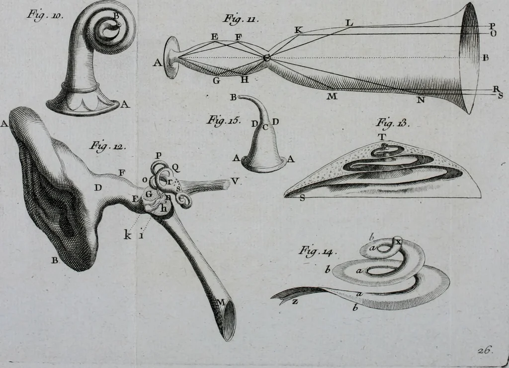 An illustration from Essai de physique, par Mr. Pierre van Musschenbroek ... avec une description de nouvelles sortes de machines pneumatiques, et un recueil d'expériences par Mr. J. v[an] M[usschenbroek] Traduit du hollandois par Mr. Pierre Massuet .., 1751, leaf 275