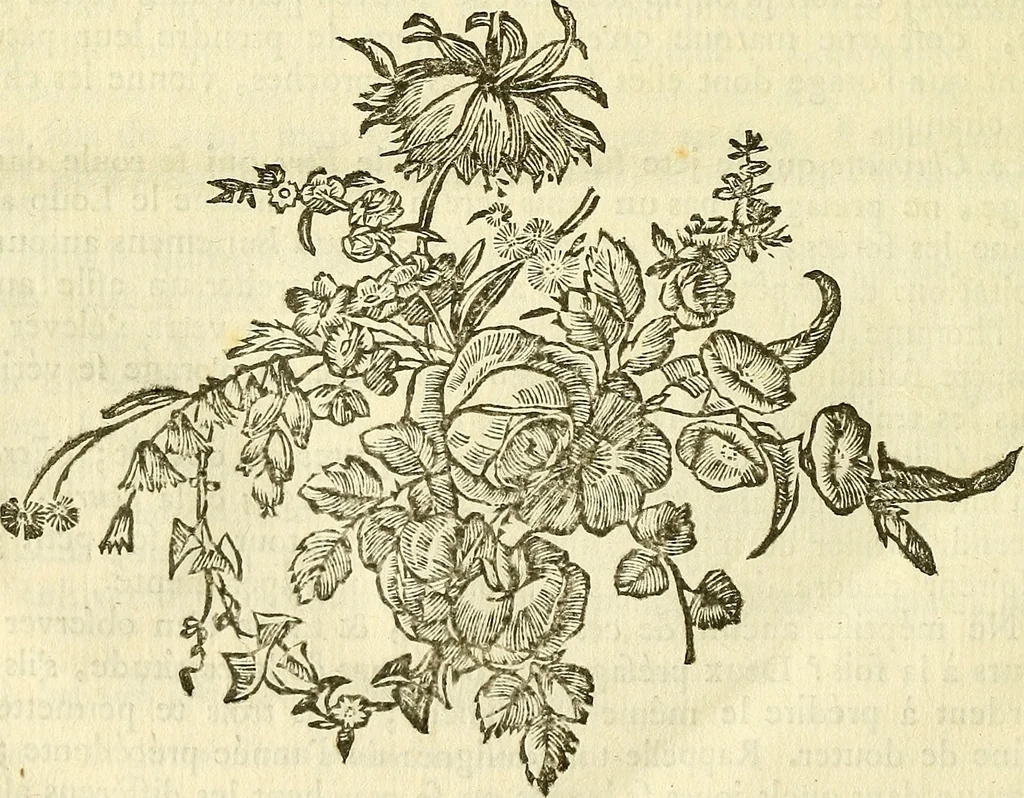 An illustration from Essai météorologique sur la véritable influence des astres, des saisons et changemens de tems : fondé sur de longues observations, & appliqué aux usages de l'agriculture, de la médécine, de la navigation, & c., 1784, leaf 335