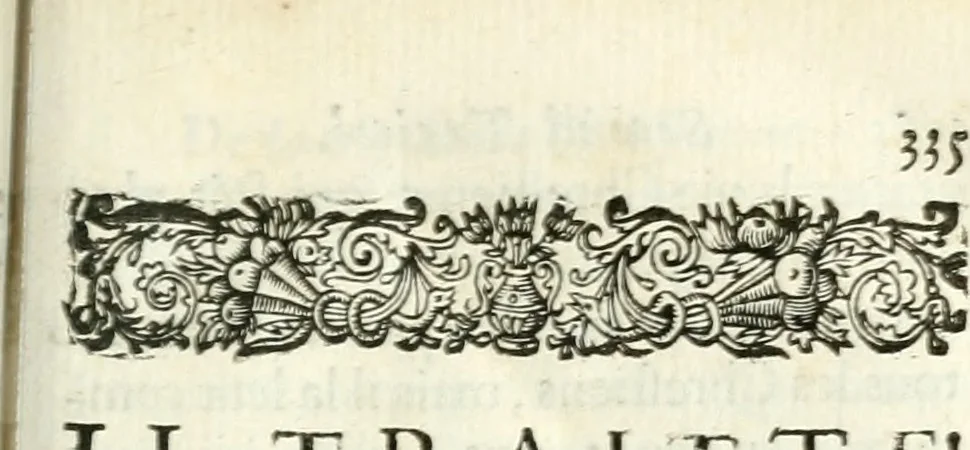 An illustration from Essais de morale, contenus en divers traités sur plusieurs devoirs importans, 1679, leaf 362