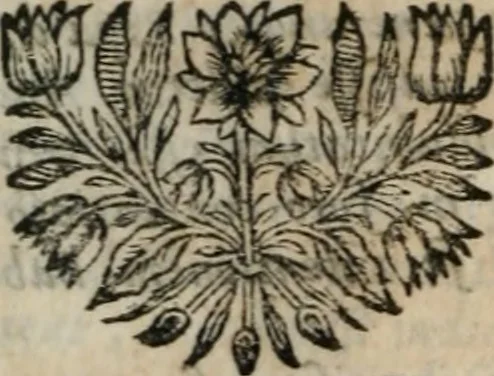 An illustration from Essais de morale, contenus en divers traités sur plusieurs devoirs importans, 1679, leaf 125