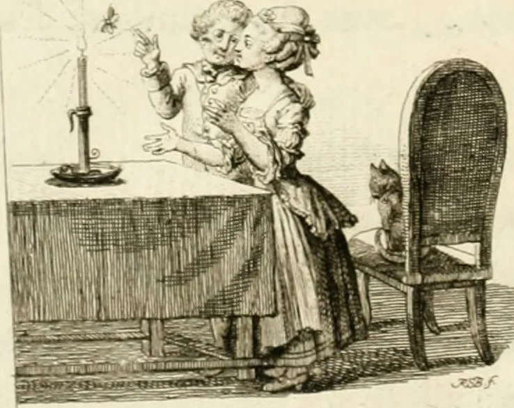 An illustration from Essai sur la physiognomonie : destiné a faire connoître l'homme & à le faire aimer, 1781, leaf 119