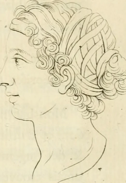 An illustration from Essai sur la physiognomonie : destiné a faire connoître l'homme & à le faire aimer, 1781, leaf 127