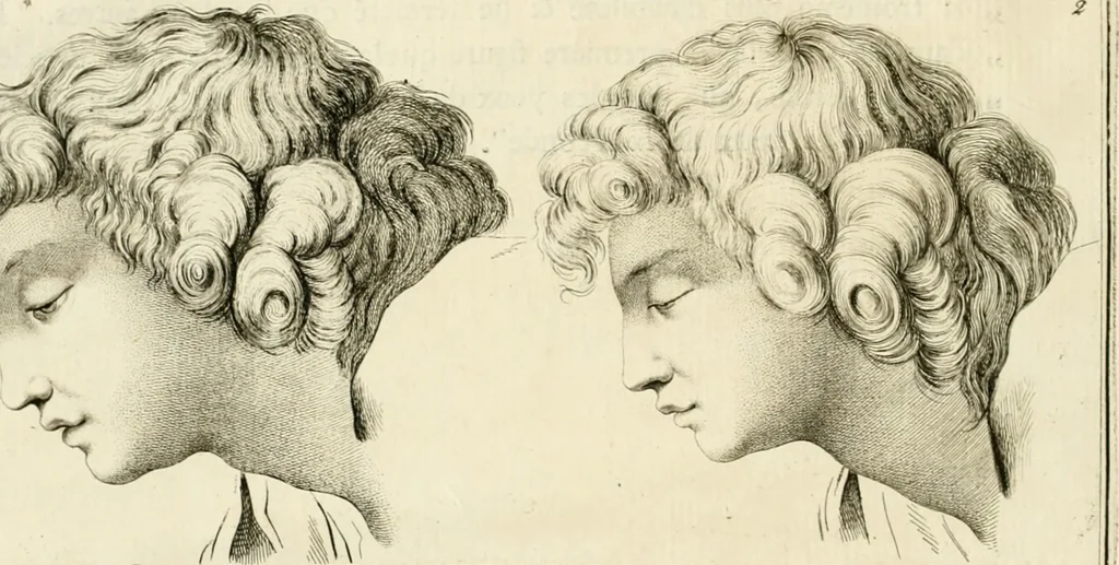 An illustration from Essai sur la physiognomonie : destiné a faire connoître l'homme & à le faire aimer, 1781, leaf 133