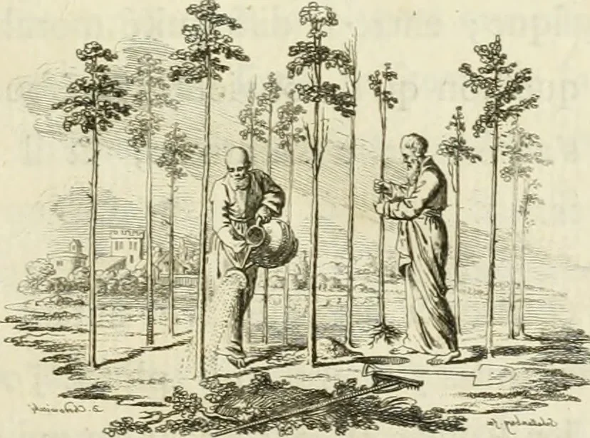 An illustration from Essai sur la physiognomonie : destiné a faire connoître l'homme & à le faire aimer, 1781, leaf 146
