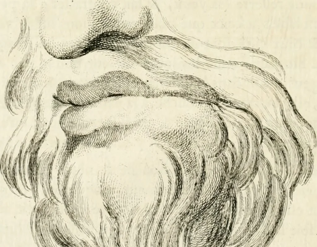 An illustration from Essai sur la physiognomonie : destiné a faire connoître l'homme & à le faire aimer, 1781, leaf 183