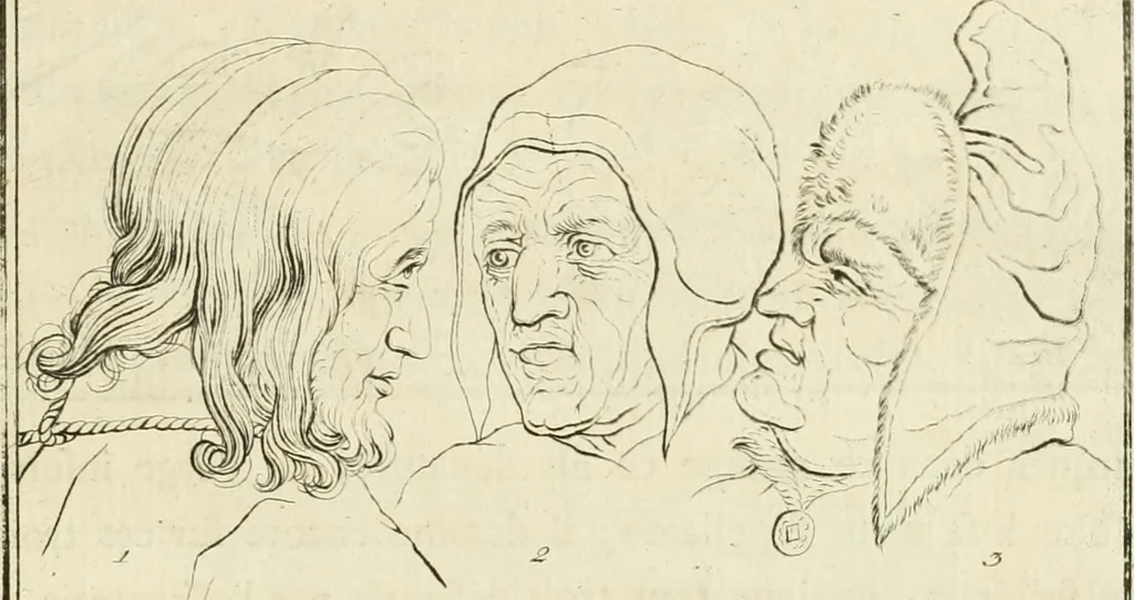 An illustration from Essai sur la physiognomonie : destiné a faire connoître l'homme & à le faire aimer, 1781, leaf 184