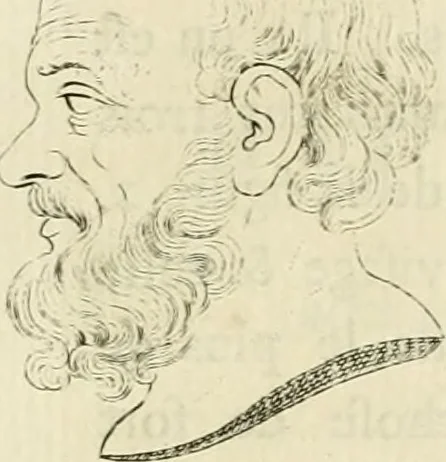 An illustration from Essai sur la physiognomonie : destiné a faire connoître l'homme & à le faire aimer, 1781, leaf 204