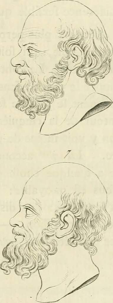 An illustration from Essai sur la physiognomonie : destiné a faire connoître l'homme & à le faire aimer, 1781, leaf 204