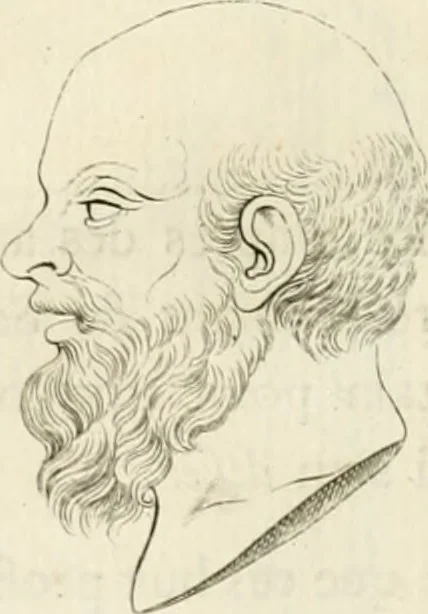 An illustration from Essai sur la physiognomonie : destiné a faire connoître l'homme & à le faire aimer, 1781, leaf 205